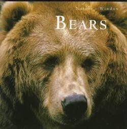 Bears Natures Window Shelia Buff 1st Edition HB Book