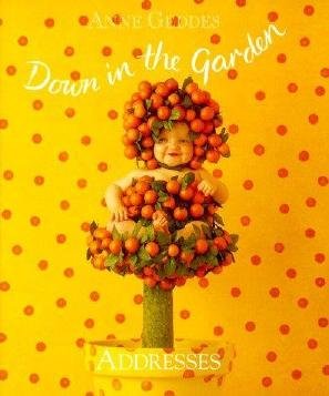 Orange Tree Baby Address Anne Geddes Book New Garden