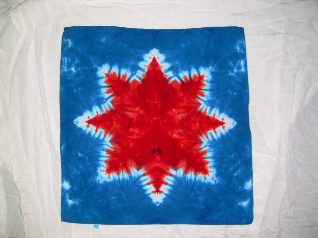 Tie Dye Bandanna #2