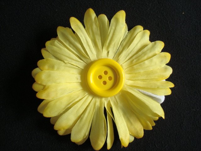 Madison/Yellow