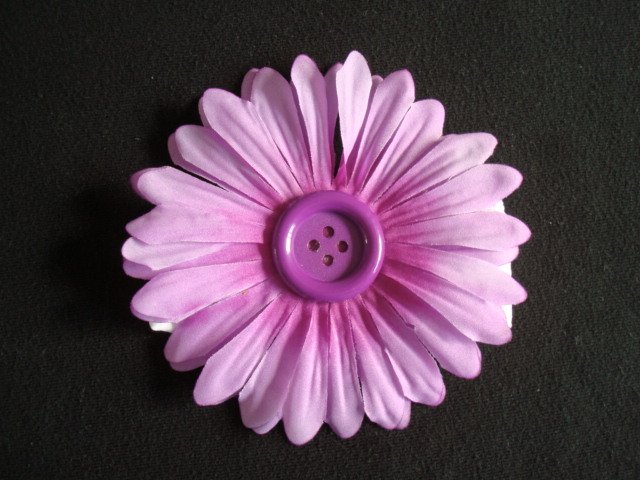 Madison/Purple