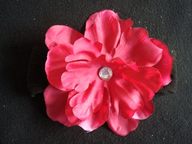 Olivia/Hot Pink on Black band