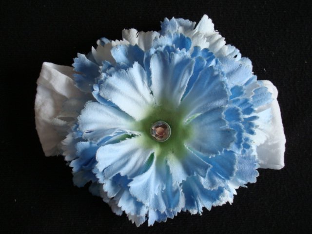 Kate/Blue