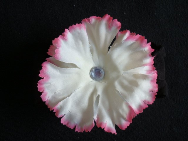 Kate/Cream and Pink on Black Band