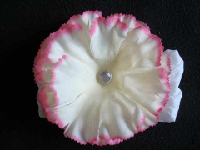 Kate/Cream and Pink on White Band