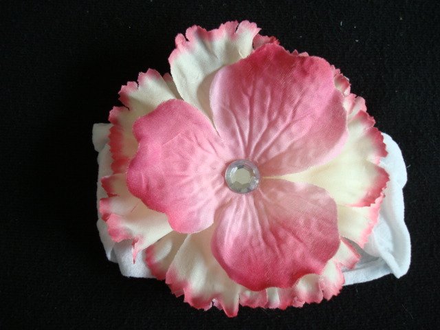 Kate/Cream and Pink with Pink Center on White Band