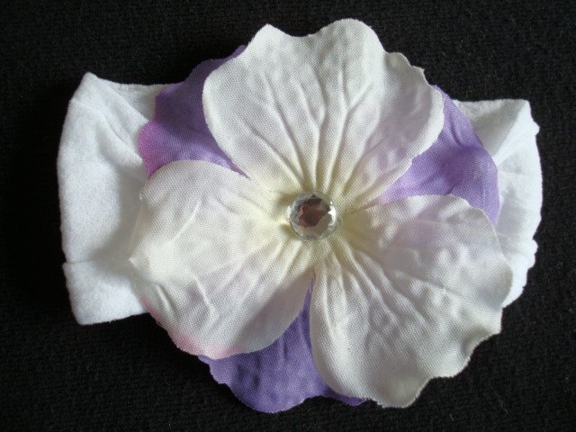 Ali/Purple and White on White Band