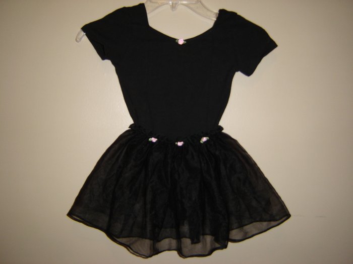 Danskin Leotard W/Skirt