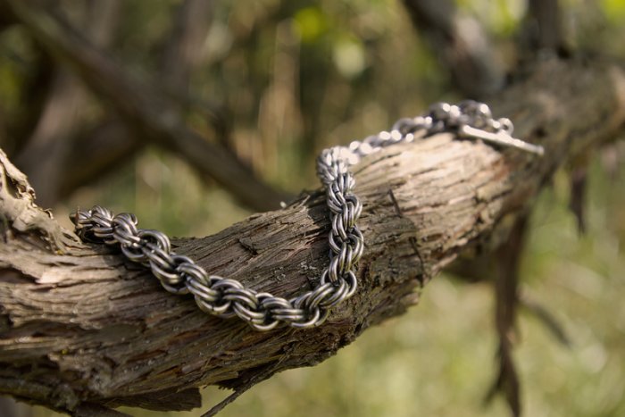 Grape Vines of Dionysus