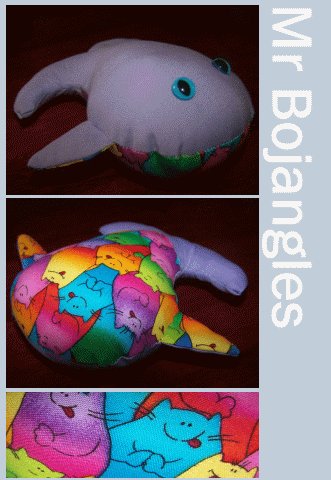 Mr bojangles the Happy Whale