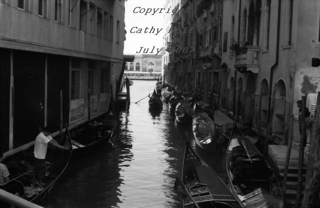 "Avoid hitting the other gondolas" Venice, Italy