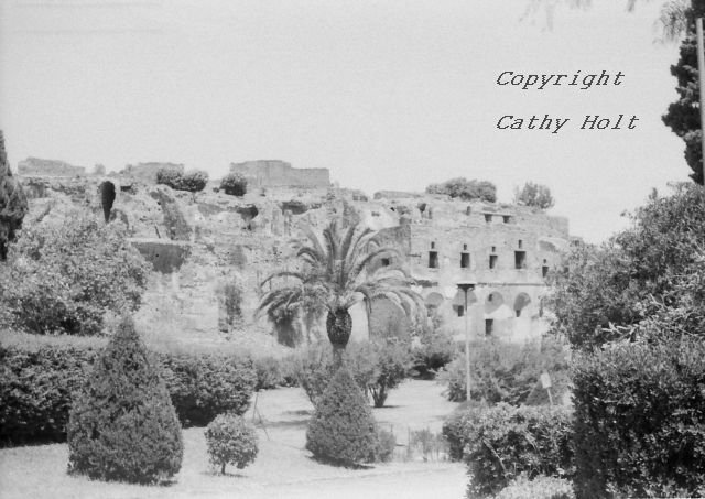 Pompeii in Black & White #1