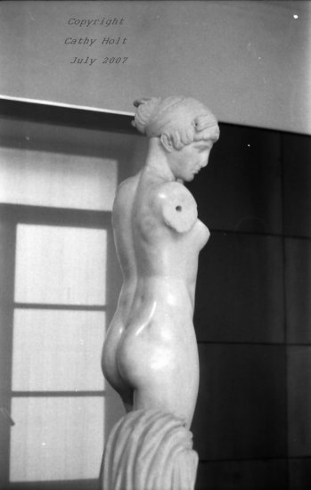 Venus at Campidorio in Rome