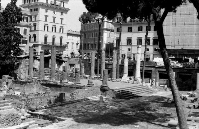 Torre Argentina and another temple, Rome, Italy