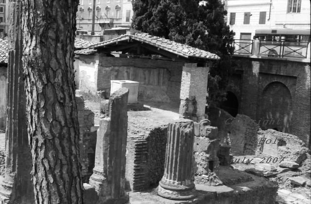 "Living around the Past" Ruins in Rome, Italy