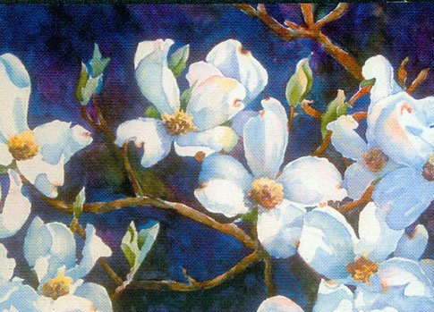 Greeting Card Assortment- Set of 10
