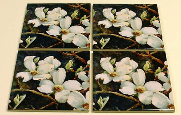 White Dogwood Coaster Set of 4