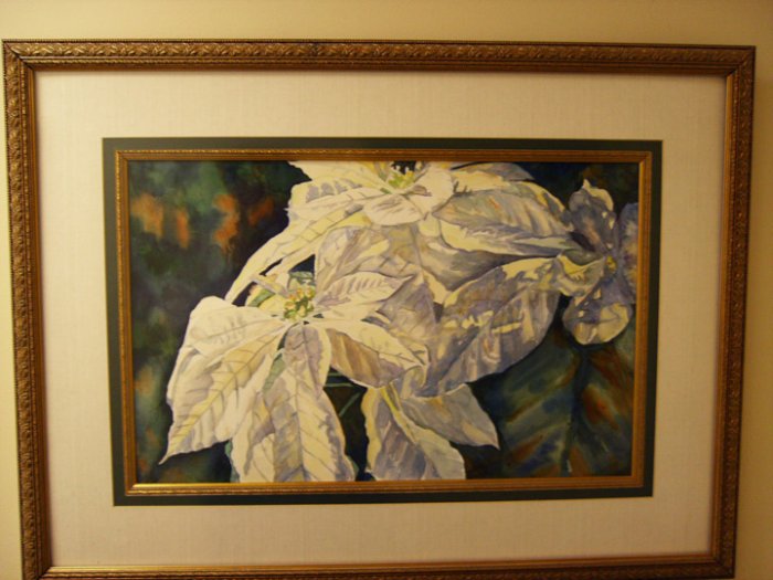 White Poinsettia