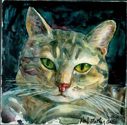 Grey Tabby Cat on Yupo- Reproduction/ Print