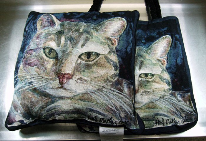 Grey Tabby Pillow