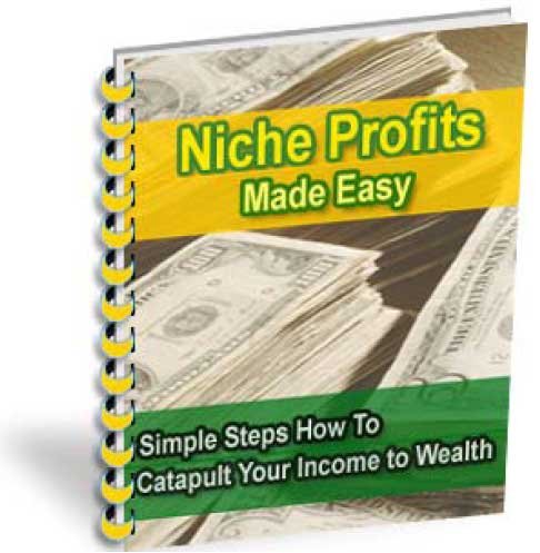 Niche Profits Made Easy