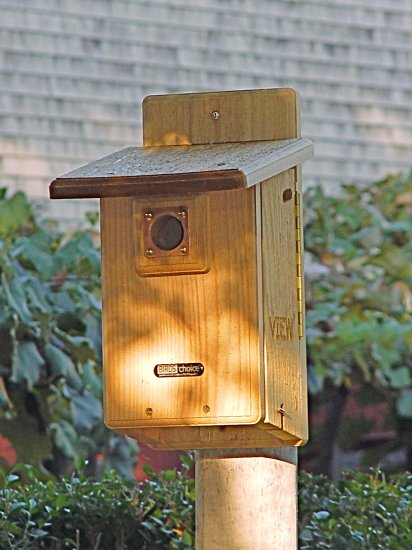 Bird House for Bluebirds also perfect for Tree Swallows