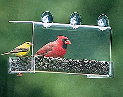 Window Bird Feeder