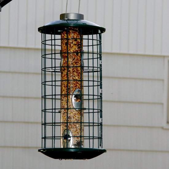 Squirrel-free Bird Feeder for Small Songbirds