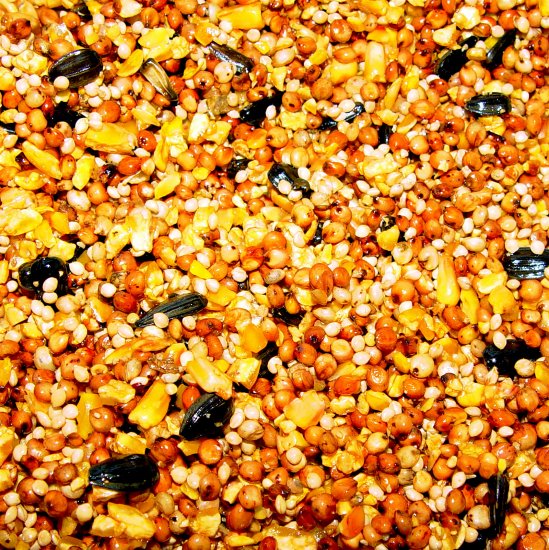 Squirrel-free Wildbird Seed Mix - 5 lbs. - FREE SHIPPING to US only