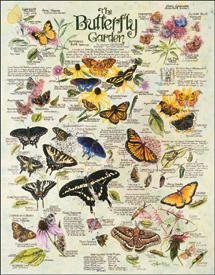 TIN SIGN R. Lee - Butterfly Garden - 983