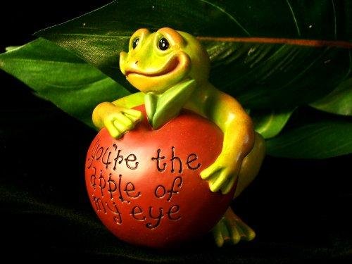 Frog "Apple Of My Eye" Paperweight - Second Nature - 30504