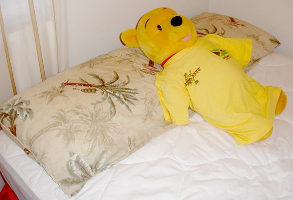 pillow- extra long
