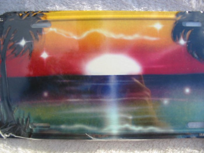 Airbrushed metal license plate-Sunrise