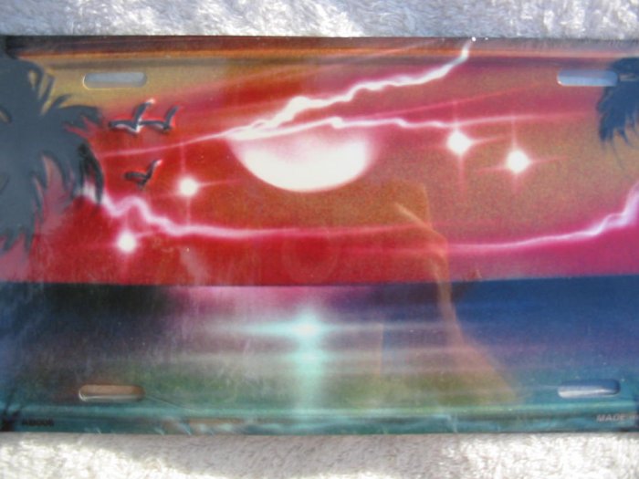 Airbrushed metal license plate-Sunset