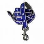 LA Dodgers Dog Leash