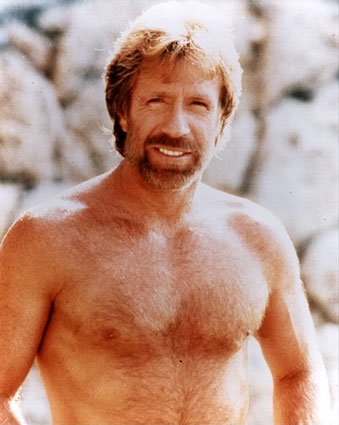 Chuck Norris "Facts"