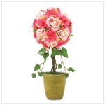 Rose topiary