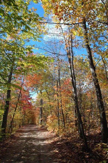Fall Road