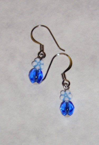 Blue Earrings