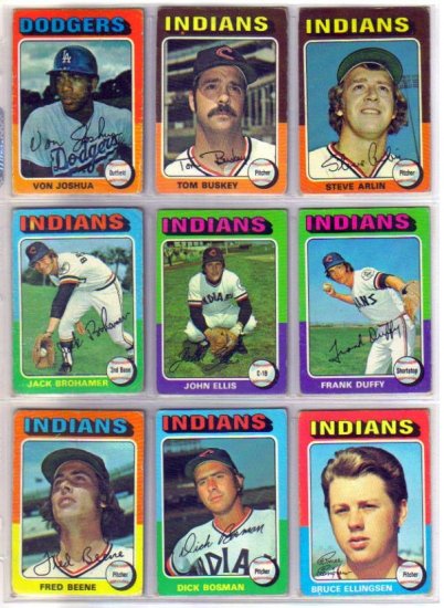 1975 TOPPS DICK BOSMAN #354 INDIANS
