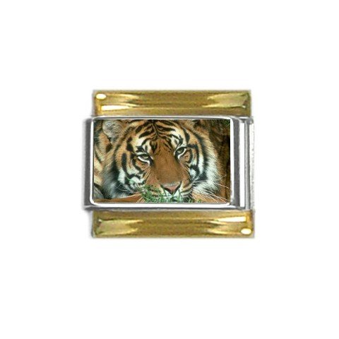 9mm Stainless Steel Italian Charm with Gold Trim