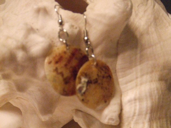 Seashell Earrings
