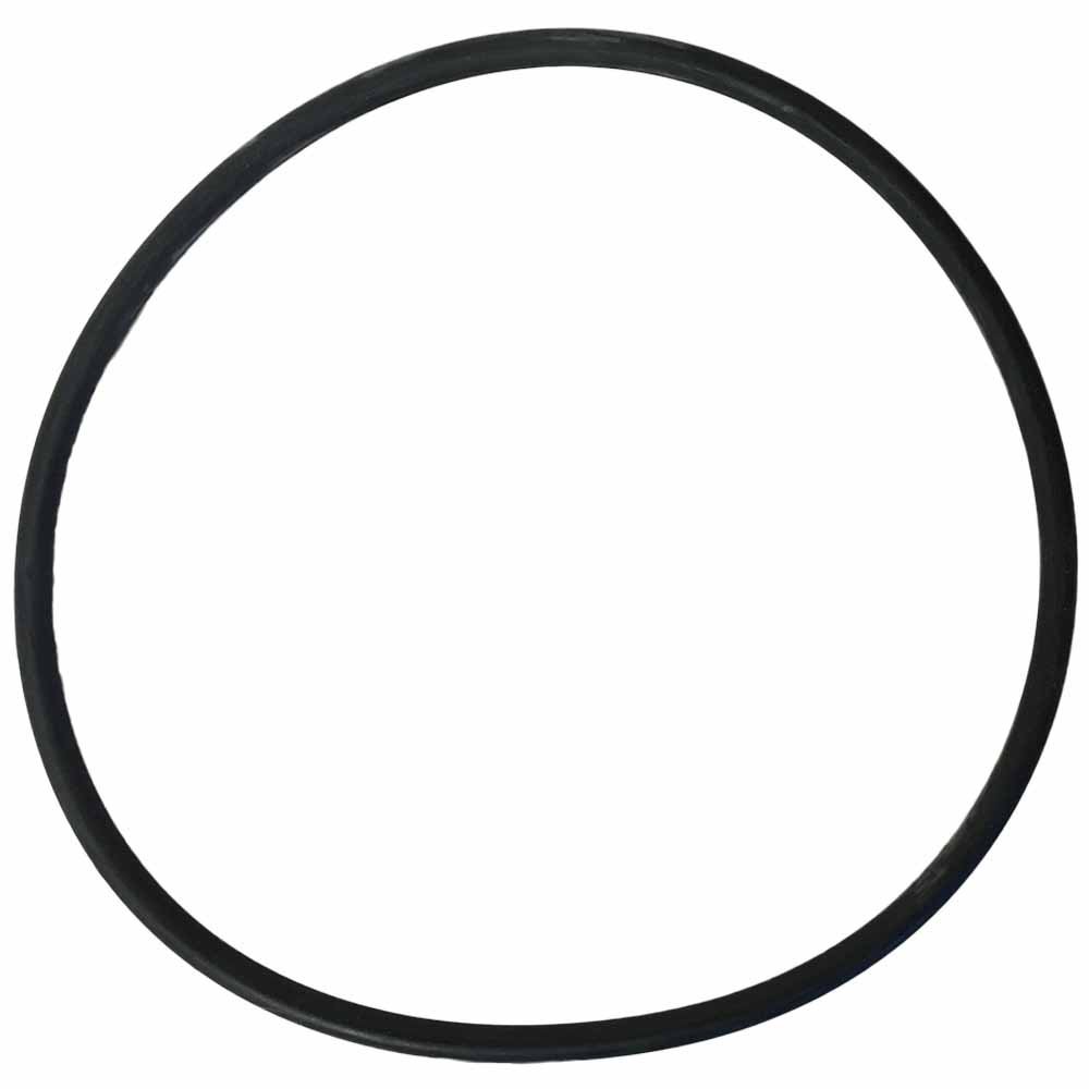 Replacement O-ring for Big Blue Filter Housings