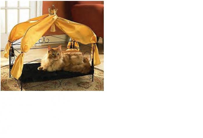 Fancy Pet Bed FREE SHIPPING