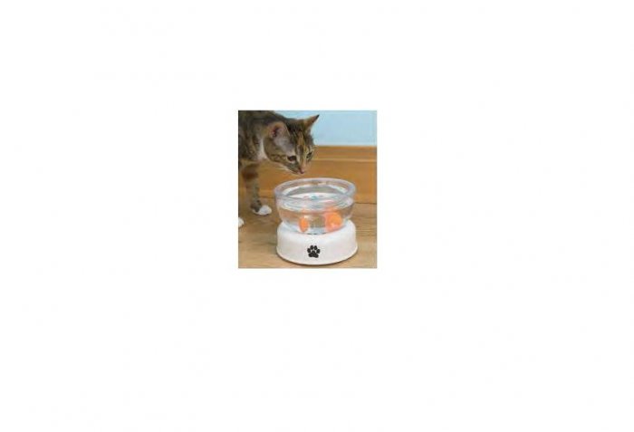 Whimsical Pet Cat Bowls FREE SHIPPING