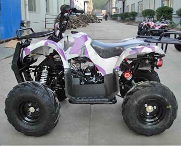 New Style Fully Auto With Reverse ATV (Quad)