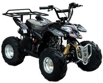 New Polaris Style With Rear Rack ATV (Quad)