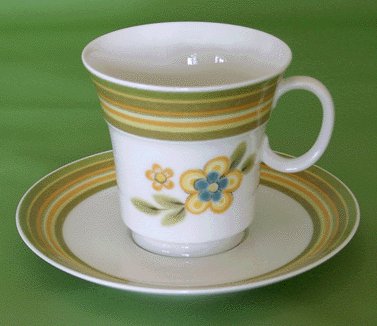 NORITAKE Expression CHESTNUTHILL Cup & Saucer MOD Chestnut Hill