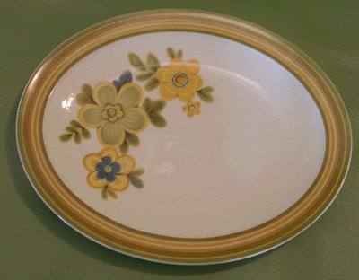 NORITAKE Expression CHESTNUTHILL Oval Platter MOD Chestnut Hill