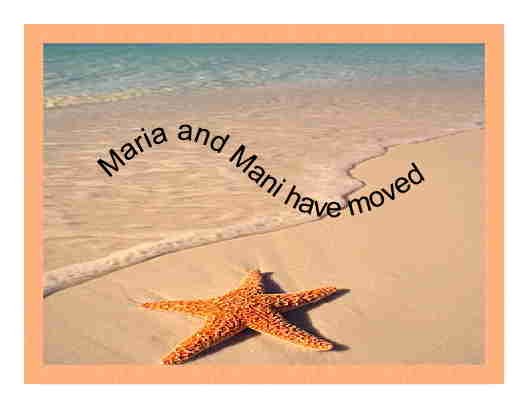Starfish on Beach note card
